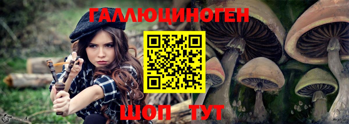 Псилоцибиновые грибы Psilocybe  Галлюциногенные грибы GOLDEN TEACHER  Ялта  Вход с VPN 