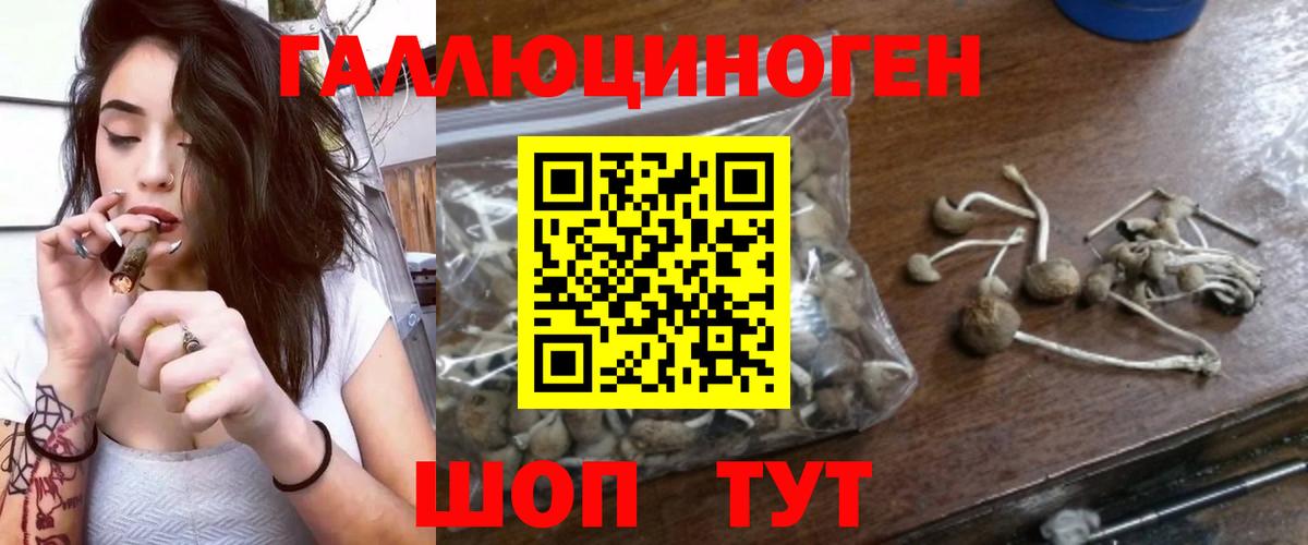 Псилоцибиновые грибы ЛСД Ялта